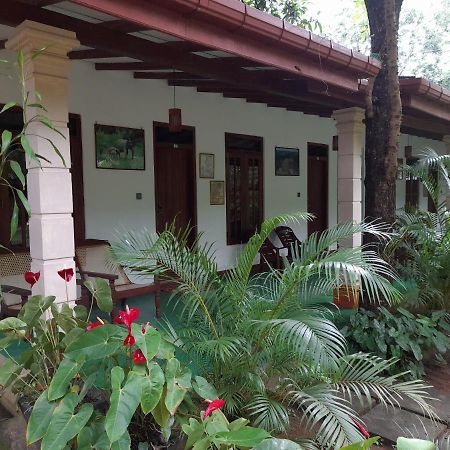 Sigiri Jungle Villa Sigiriya Buitenkant foto