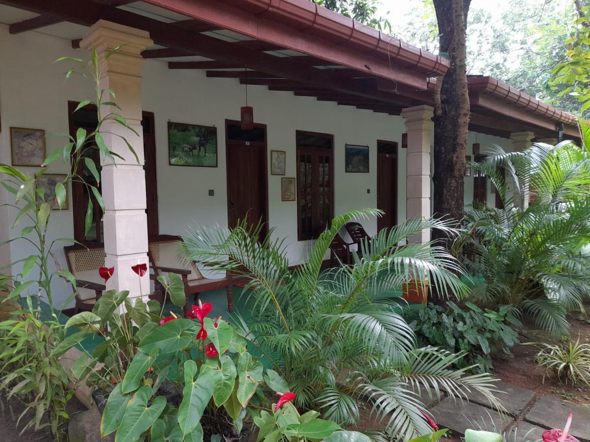 Sigiri Jungle Villa Sigiriya Buitenkant foto