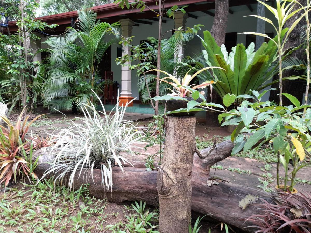 Sigiri Jungle Villa Sigiriya Buitenkant foto