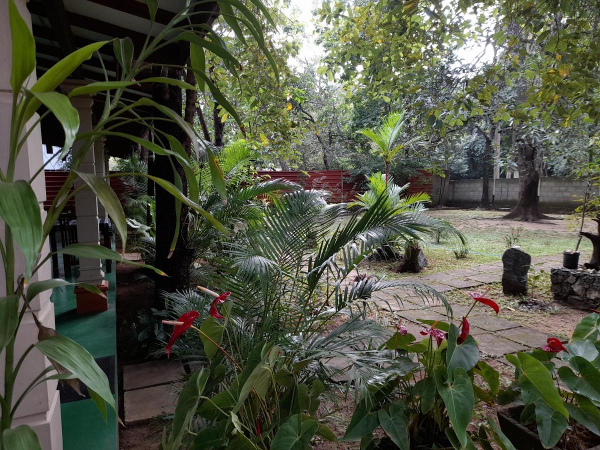 Sigiri Jungle Villa Sigiriya Buitenkant foto