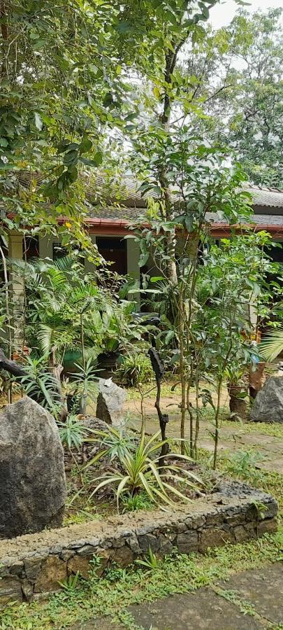 Sigiri Jungle Villa Sigiriya Buitenkant foto